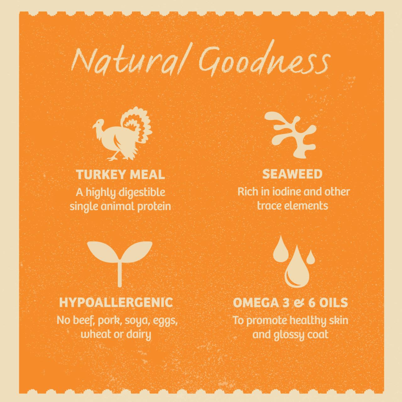 James Wellbeloved Grain Free Adult Wet Dog Food Pouches - Turkey in Gravy