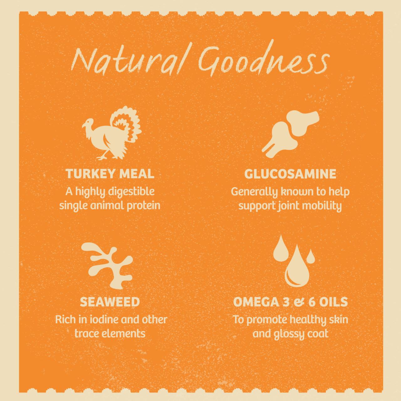 James Wellbeloved Grain Free Senior Wet Dog Food Pouches - Turkey in Gravy