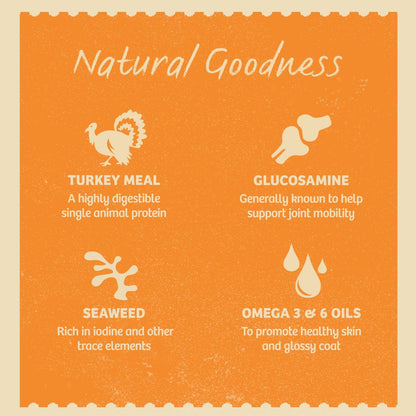 James Wellbeloved Grain Free Senior Wet Dog Food Pouches - Turkey in Gravy