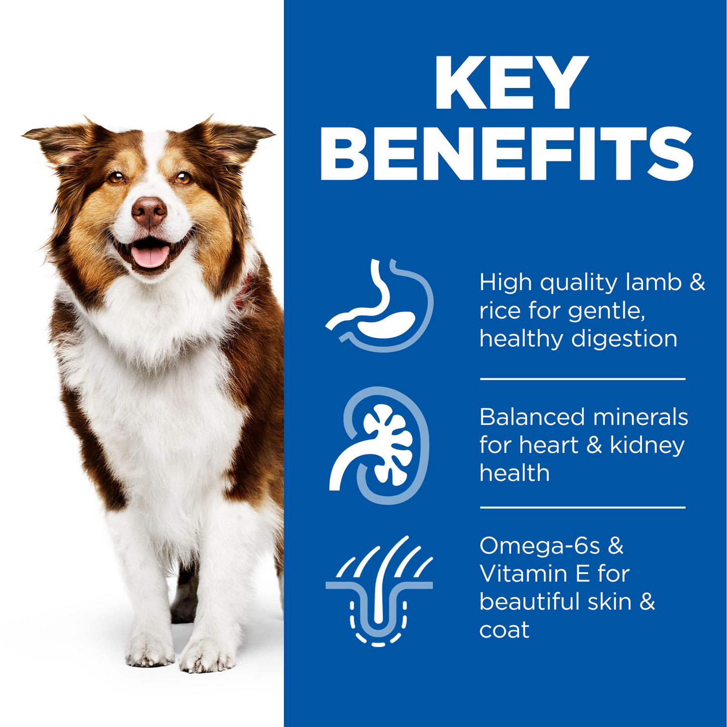 Hill's Science Plan Medium Mature Adult 7+ Dry Dog Food - Chicken