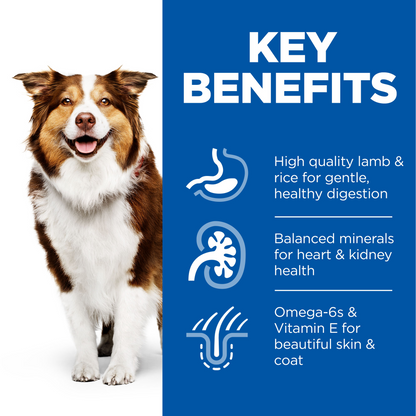 Hill's Science Plan Medium Mature Adult 7+ Dry Dog Food - Chicken