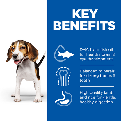 Hill's Science Plan Medium Puppy <1 Dry Dog Food - Chicken