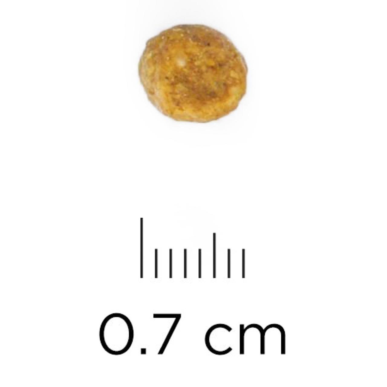 Hill's Science Plan Adult 1-6 Dry Cat Food - Lamb