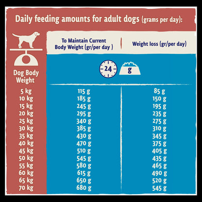 BETA Light Adult Dry Dog Food - Turkey