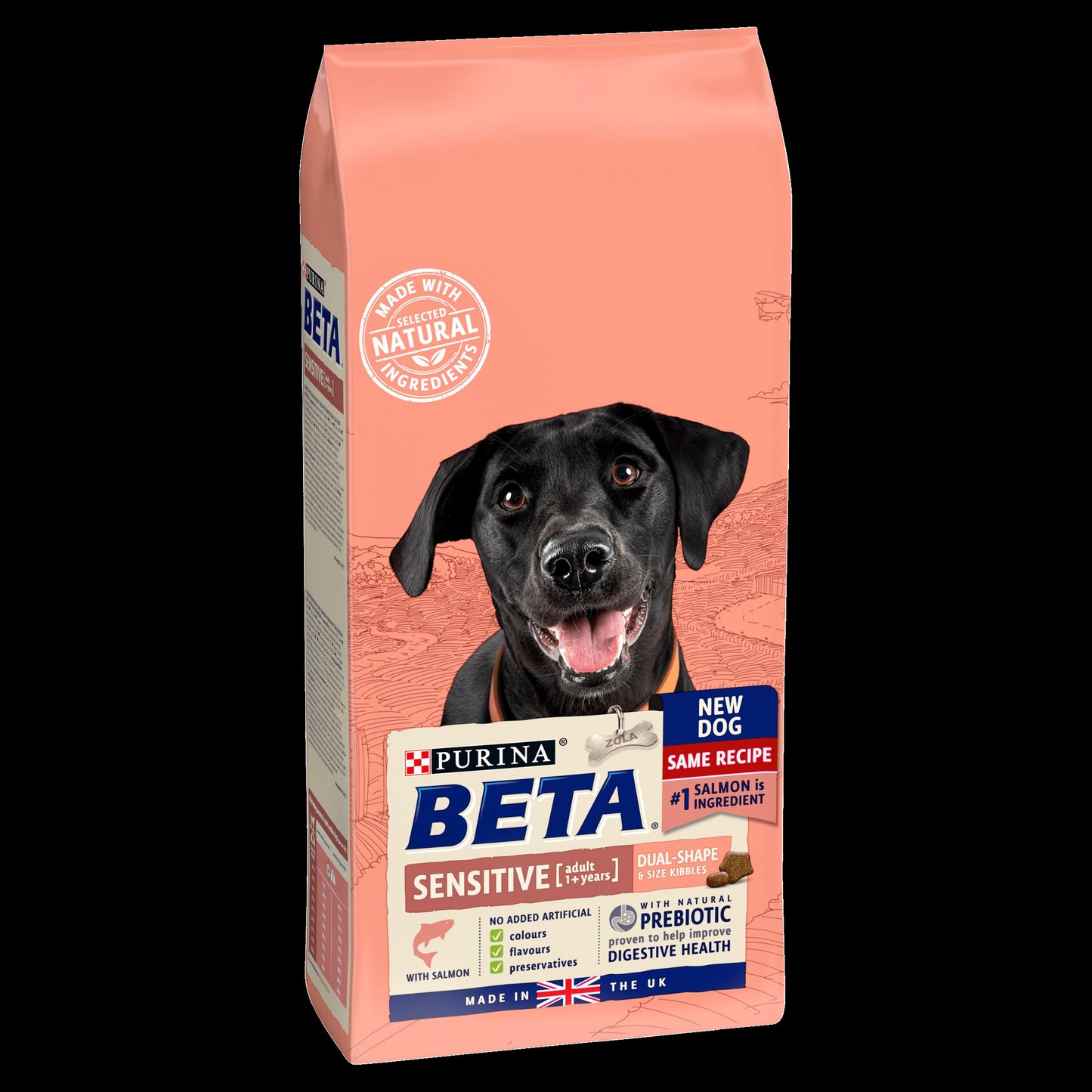 BETA Sensitive Adult Dry Dog Food - Salmon & Rice