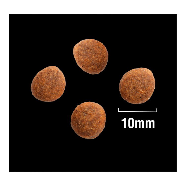 Crave Natural Grain Free Adult Complete Dry Dog Food Lamb & Beef