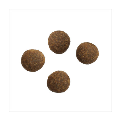 Crave Natural Grain Free Adult Complete Dry Dog Food Lamb & Beef