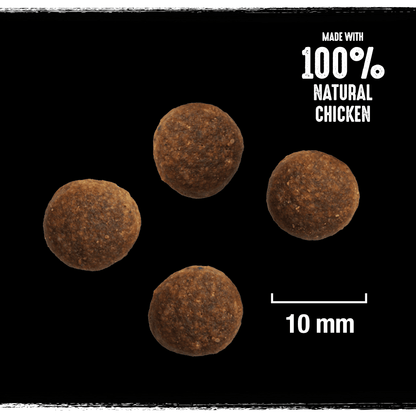 Crave Natural Grain Free Adult Dry Dog Food - Turkey & Chicken