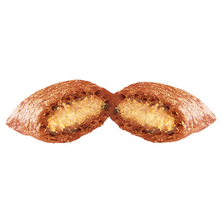 Dreamies Cat Treat Biscuits with Salmon Flavour Bulk Mega Tub