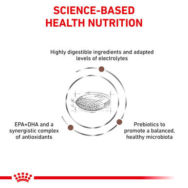 Royal Canin Vet Diet  Cat GastroInt Hairball