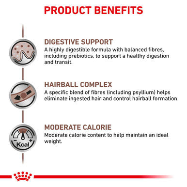 Royal Canin Vet Diet  Cat GastroInt Hairball