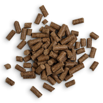 Forthglade Cold Pressed Grain Free Dry Dog Food - Duck