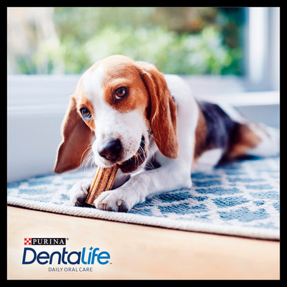 Purina Dentalife Small Adult Dog Chew Treat