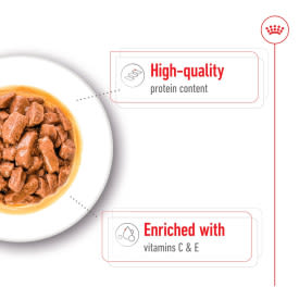 Royal Canin Medium Adult Wet Dog Food