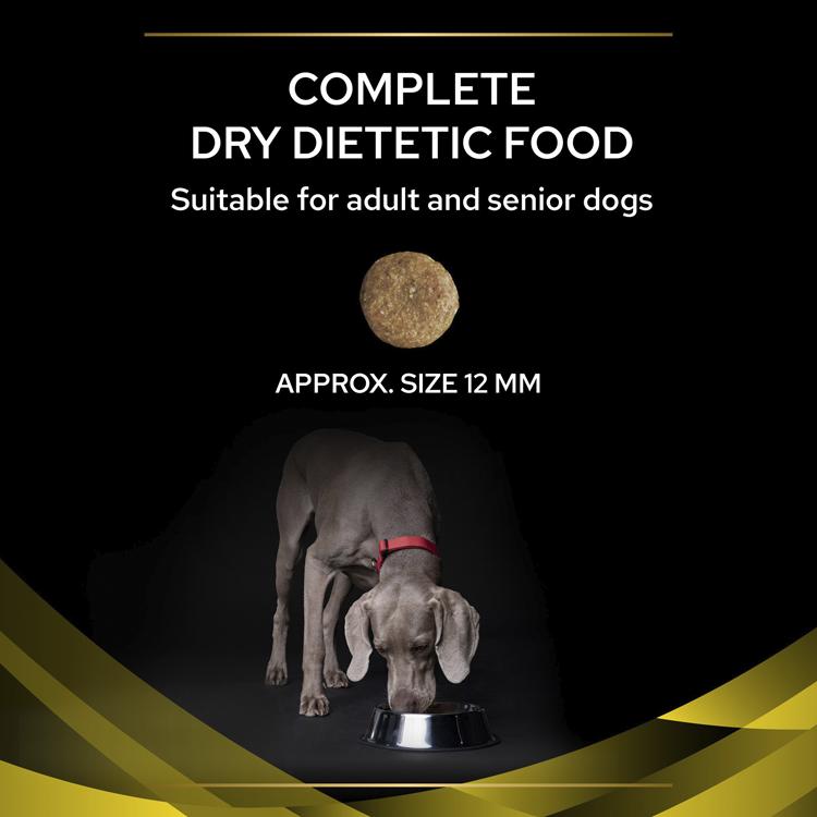 Purina Pro Plan Neurocare Dry Dog Food