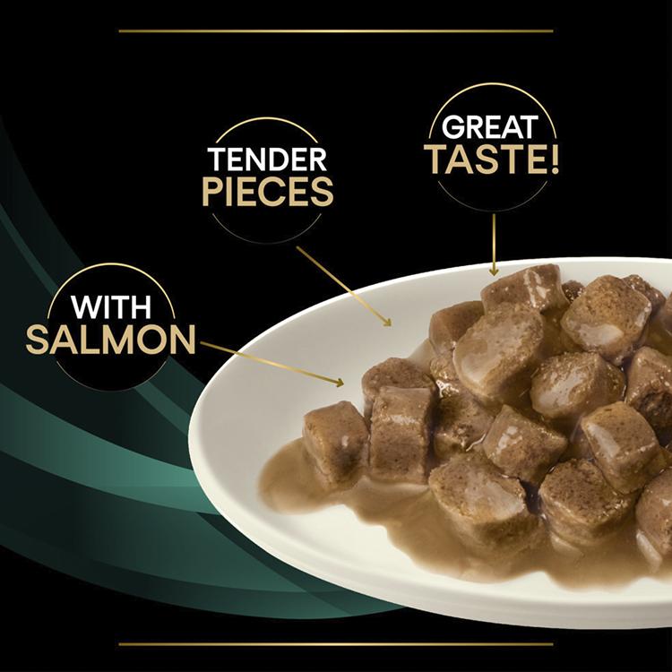 Pro Plan Veterinary Diets EN Gastrointestinal Wet Cat Food - Salmon