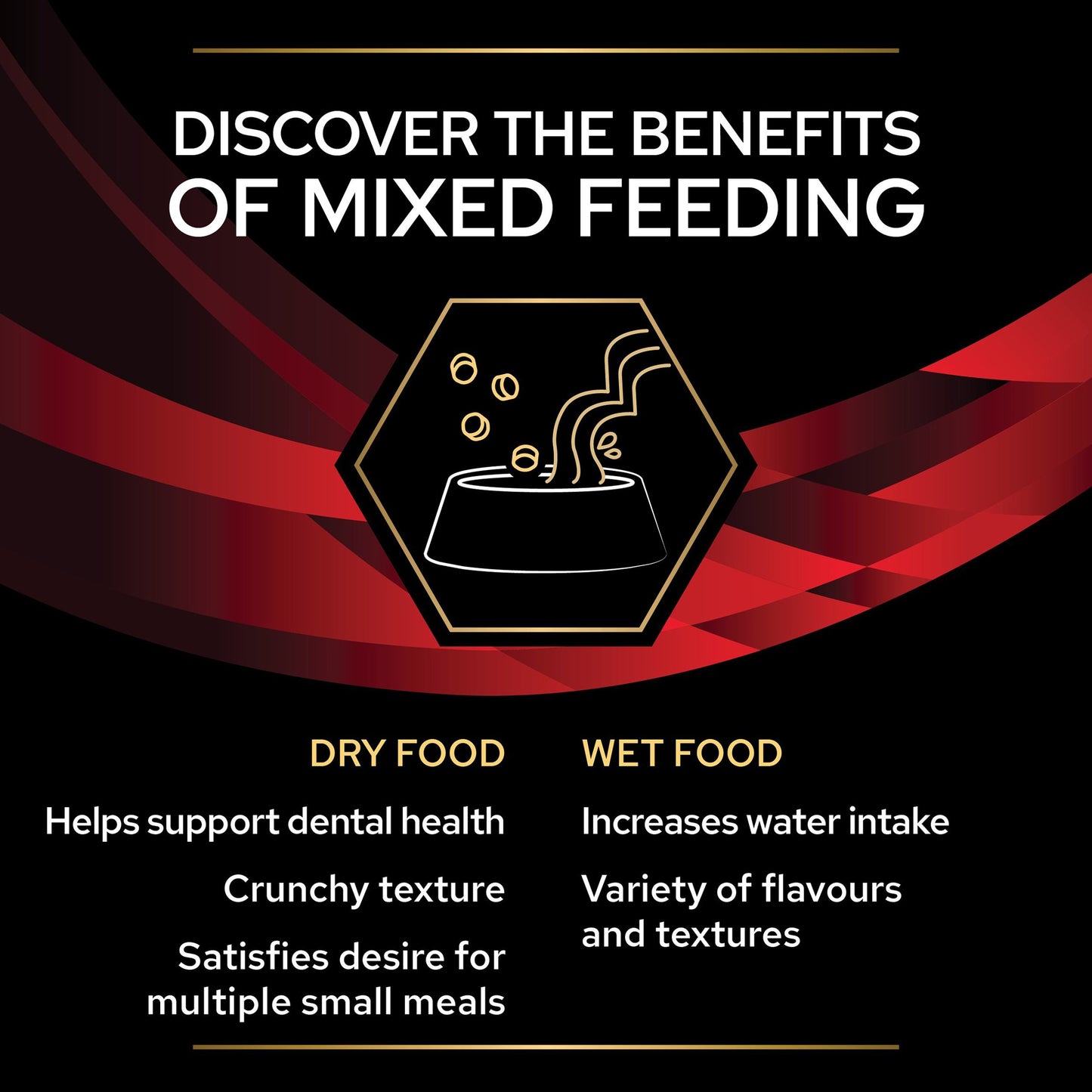 Pro Plan Veterinary Diets DM Diabetes Management Adult Wet Cat Food - Beef