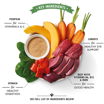 Lily's Kitchen Beef Goulash for Dog