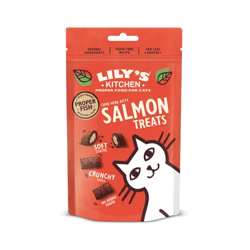 Lily's Kitchen Salmon Pillow Adult Cat Treats