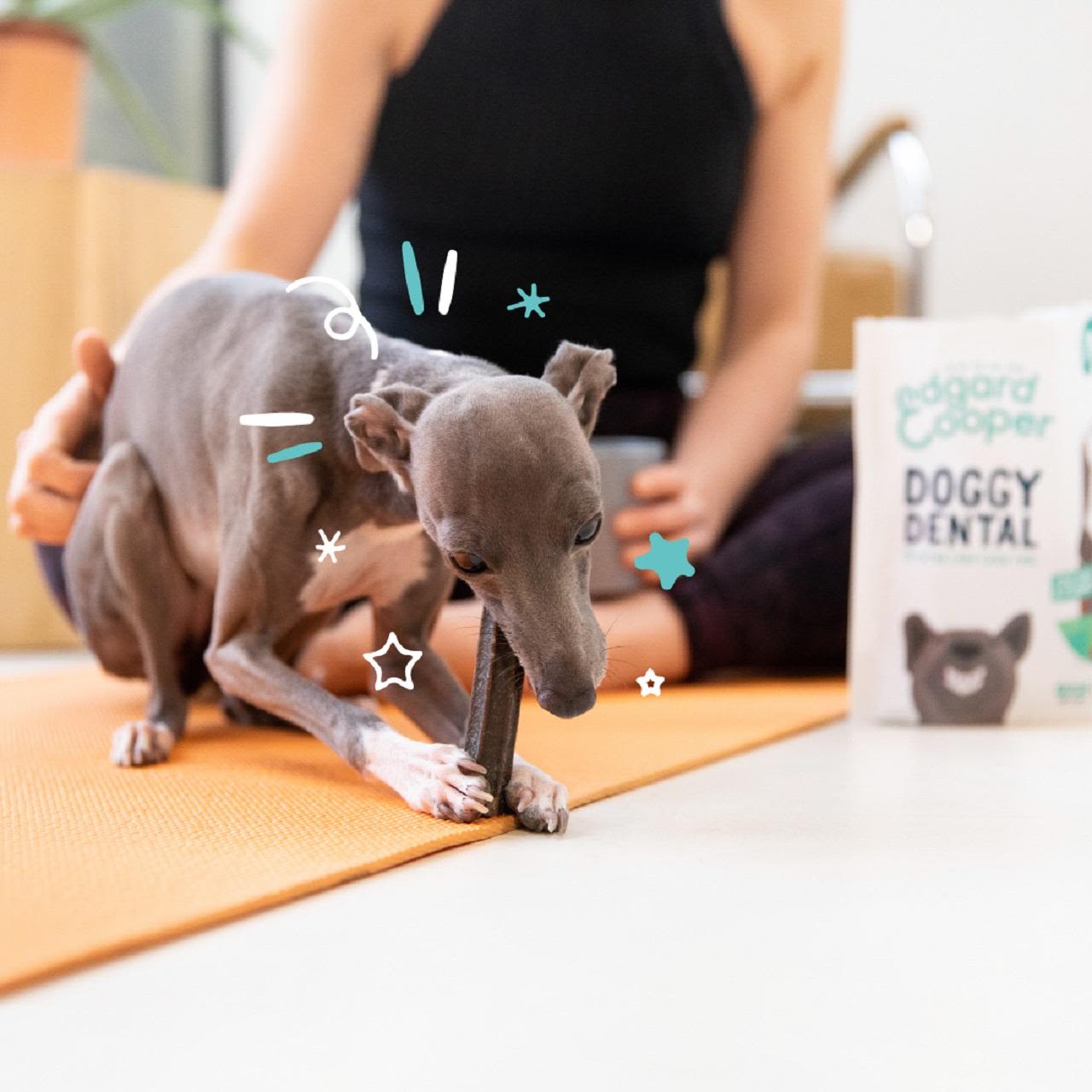 Edgard & Cooper Apple & Eucalyptus Small Doggy Dental Treat