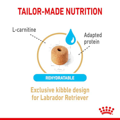 Royal Canin Labrador Retriever Ageing Adult 5+ Dry Dog Food