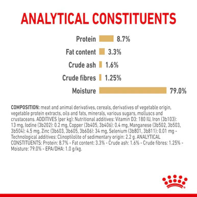 Royal Canin Labrador Retriever Adult Wet Dog Food - Loaf in Sauce