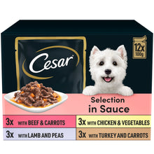 CESAR Deliciously Fresh Dog Food Pouches Mixed Selection in Sauce