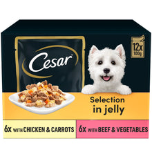 Cesar Deliciously Fresh Dog Food Pouches Mixed Selection in Jelly