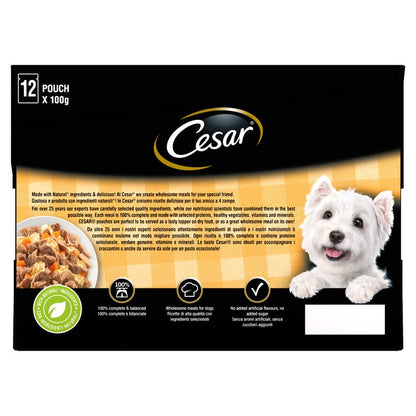 Cesar Deliciously Fresh Dog Food Pouches Mixed Selection in Jelly