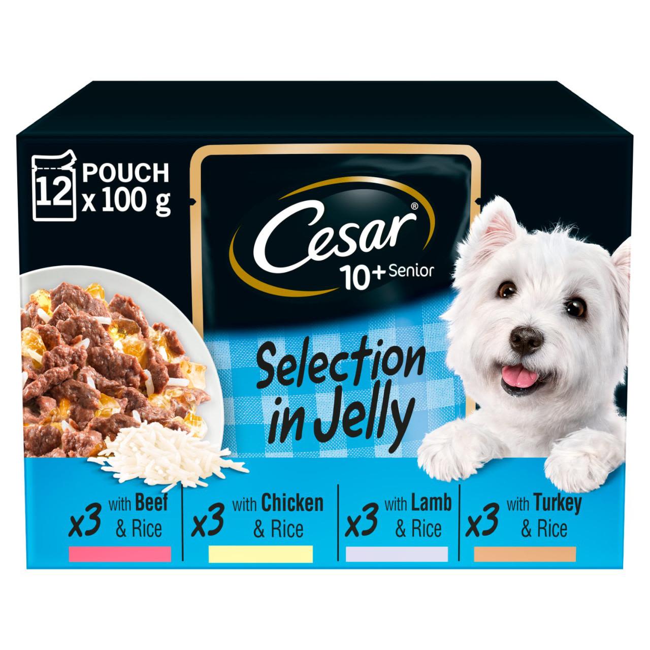 Cesar Senior Wet Dog Food Pouches Mixed Selection in Jelly
