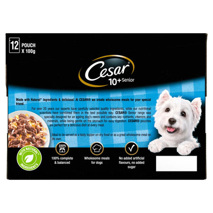 Cesar Senior Wet Dog Food Pouches Mixed Selection in Jelly