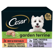 CESAR Garden Terrine Dog Food Tray Mixed in Loaf