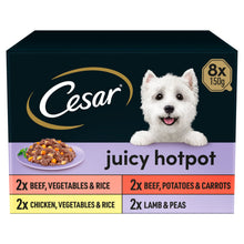 CESAR Juicy Hotpot Adult Wet Dog Food Trays Mixed in Gravy