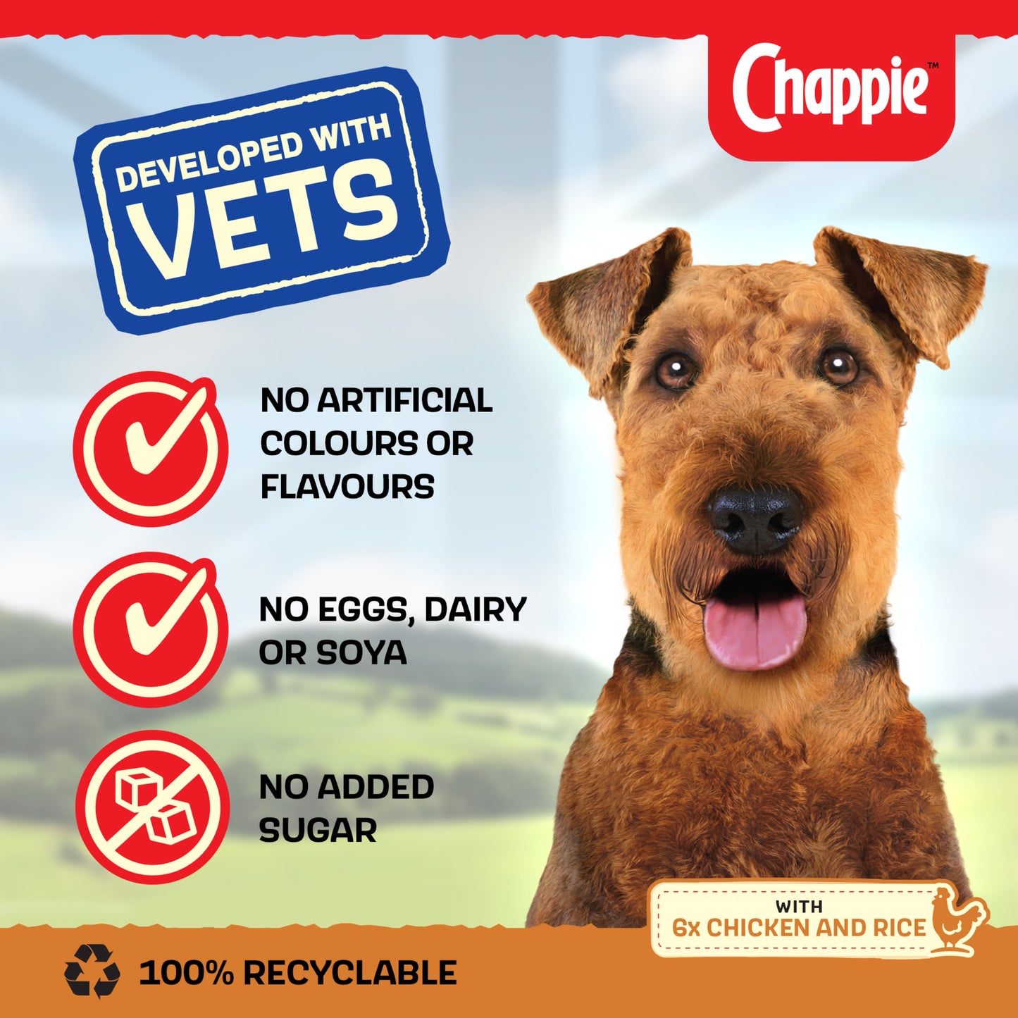 Chappie Adult Wet Dog Food Tins Chicken & Rice in Loaf