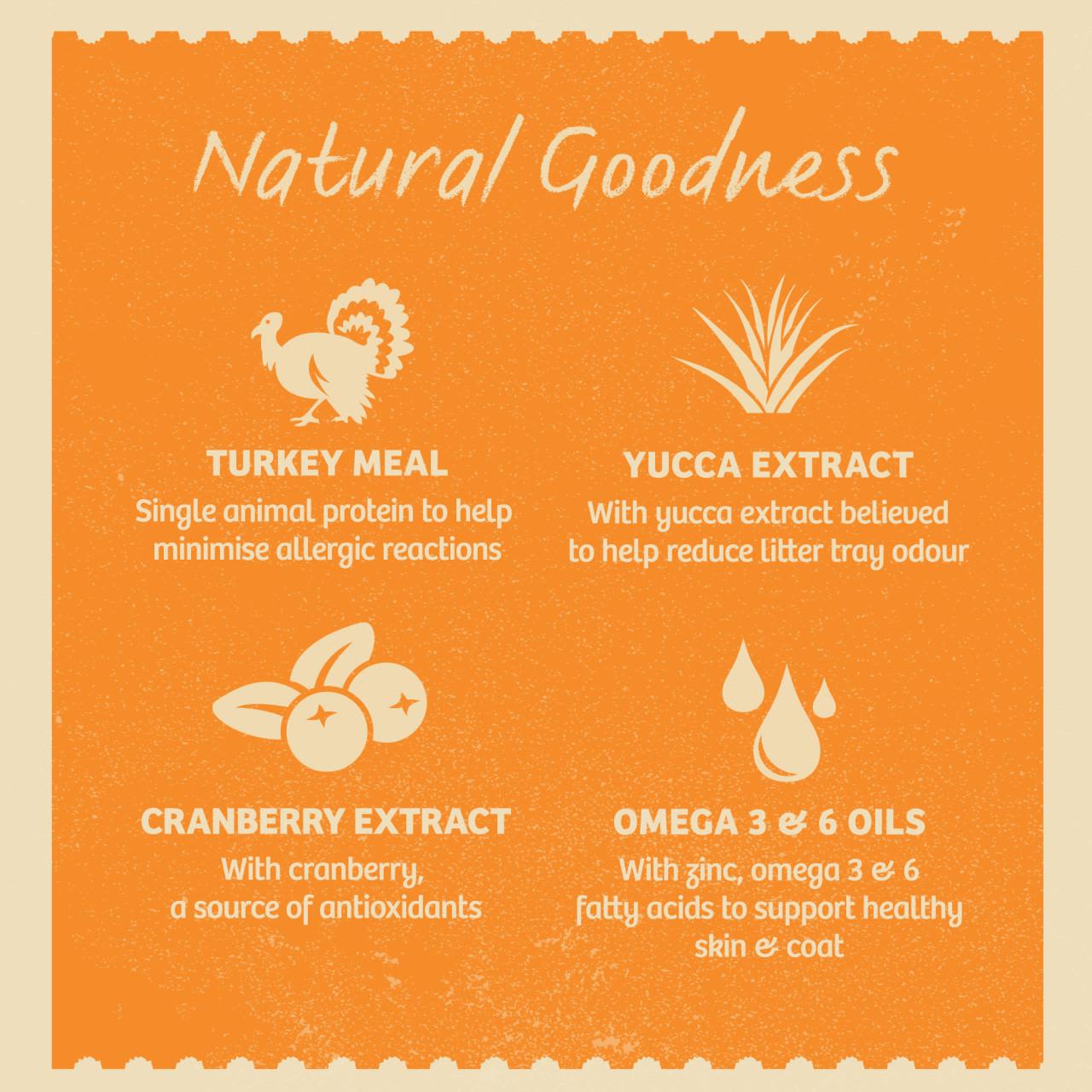 James Wellbeloved Grain Free Adult Cat Food Pouches Turkey in Gravy