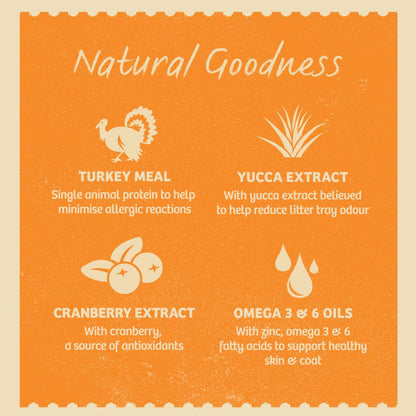 James Wellbeloved Grain Free Adult Cat Food Pouches Turkey in Gravy