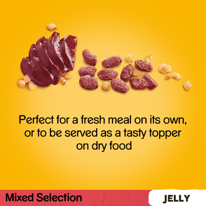 Pedigree Mixed Selection in Jelly Adult Dog Pouches