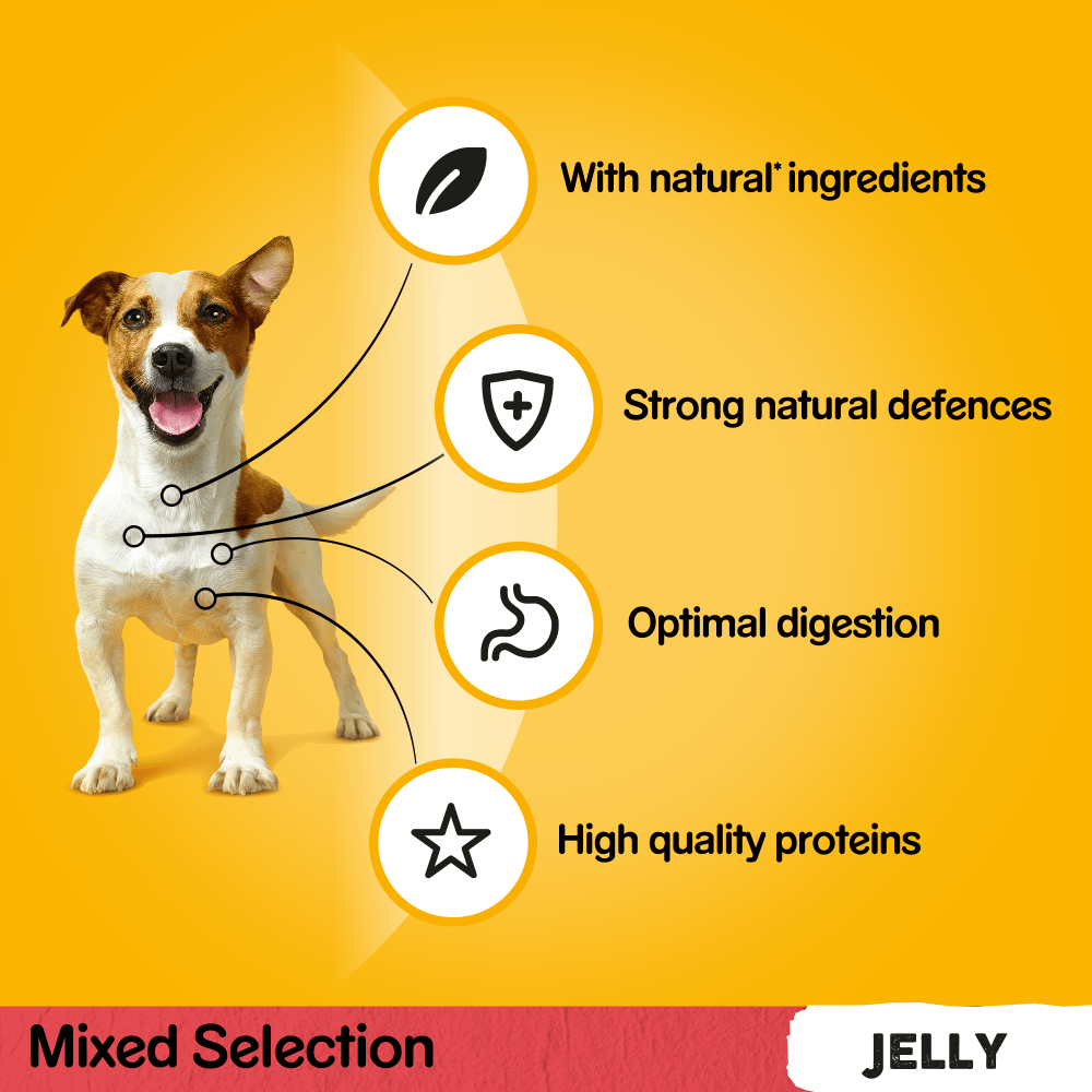 Pedigree Mixed Selection in Jelly Adult Dog Pouches