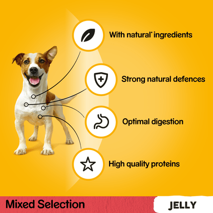 Pedigree Mixed Selection in Jelly Adult Dog Pouches