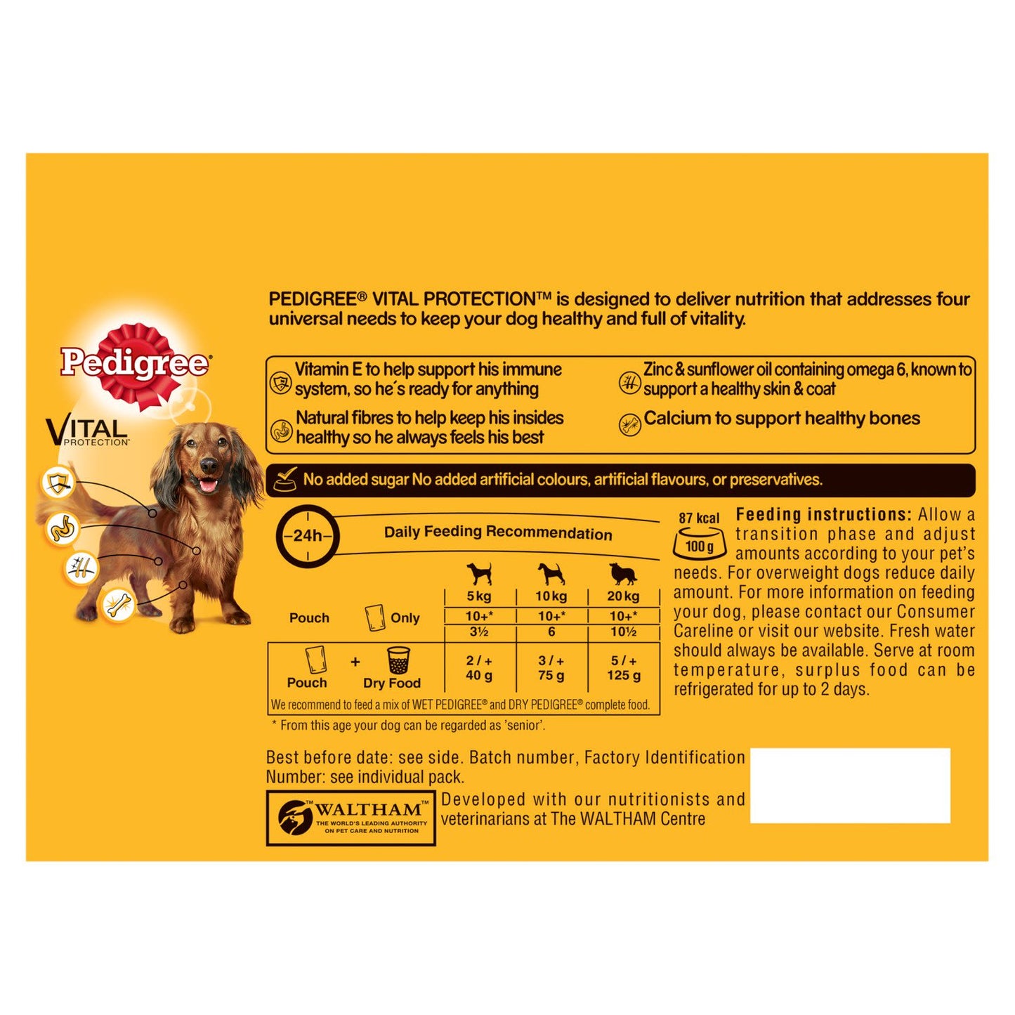 Pedigree Senior Wet Dog Food Pouches in Jelly