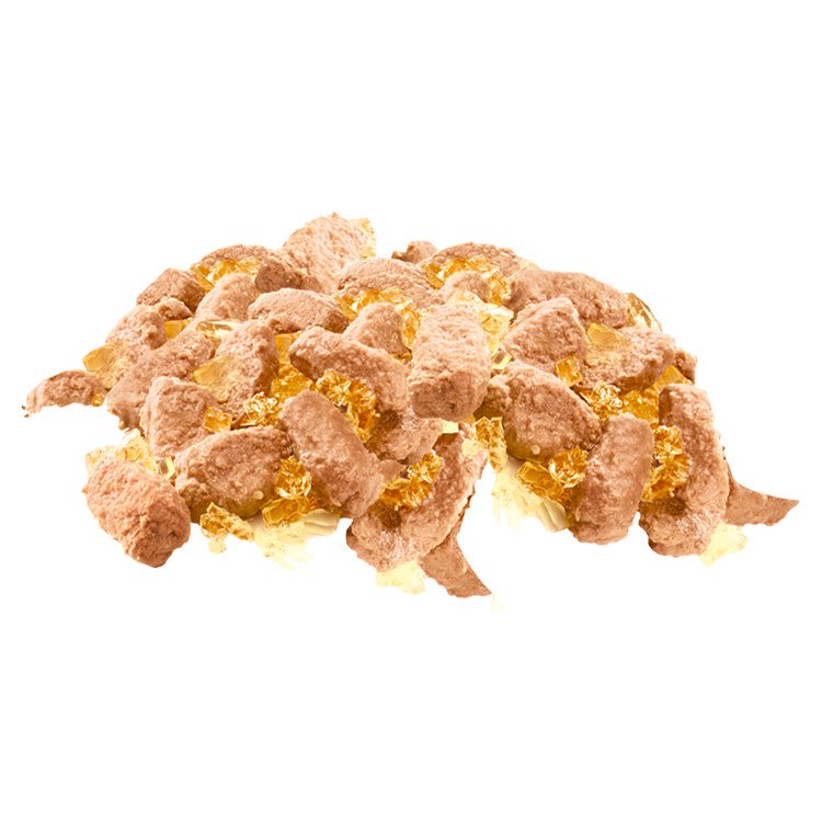 Pedigree Senior Wet Dog Food Pouches in Jelly