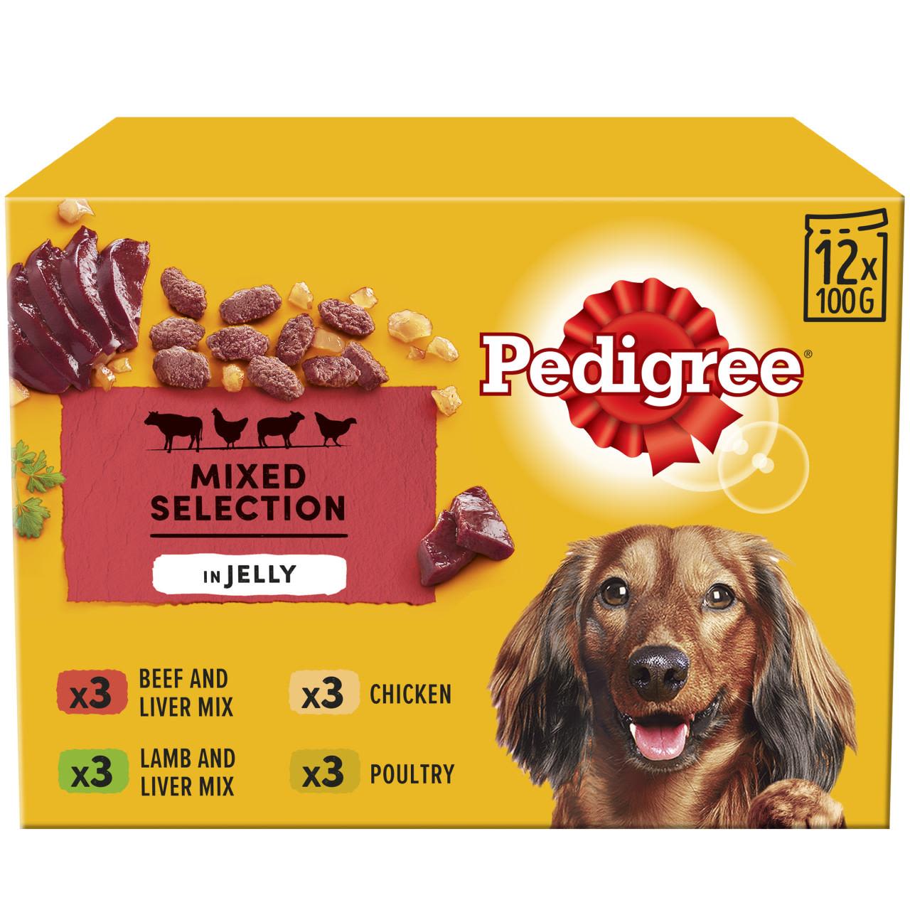 Pedigree Senior Wet Dog Food Pouches in Jelly