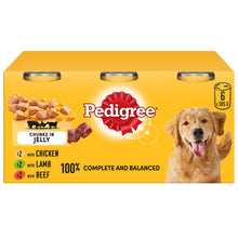 Pedigree Adult Wet Dog Food Tins Mixed in Jelly