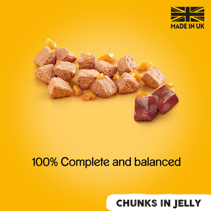 Pedigree Adult Wet Dog Food Tins Mixed in Jelly