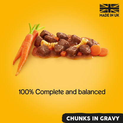 Pedigree Adult Wet Dog Food Tins - Country Casseroles in Gravy