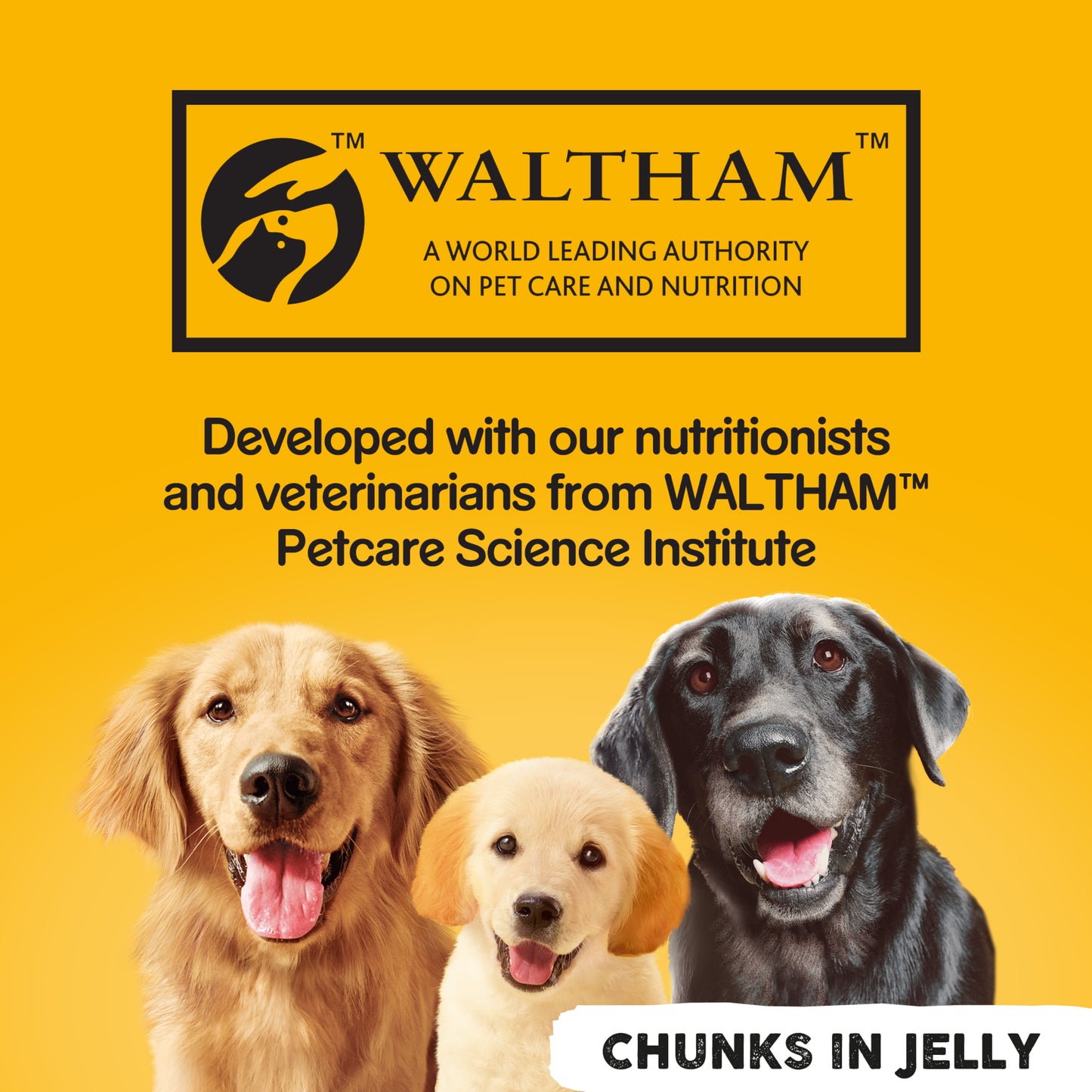 Pedigree Adult Wet Dog Food Tins - Mixed Selection in Jelly 24 x 385g