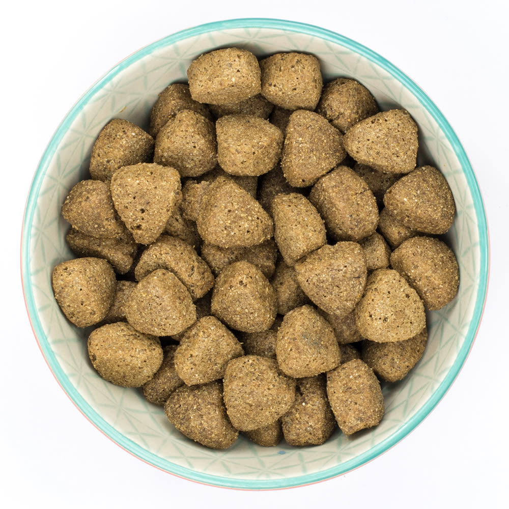 Burns Original Adult/Senior Large/Giant Breed Dry Dog Food - Chicken & Rice