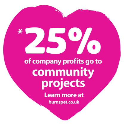 Burns Original Adult/Senior Large/Giant Breed Dry Dog Food - Chicken & Rice