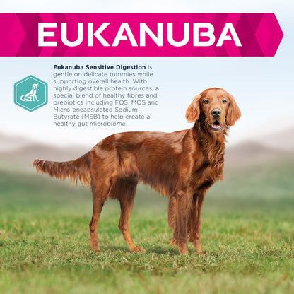 Eukanuba Daily Care Sensitive Digestion