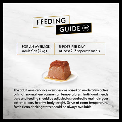 Gourmet Revelations Salmon in Gravy Wet Cat Food